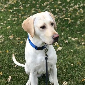 Meet your Posher, Bradley